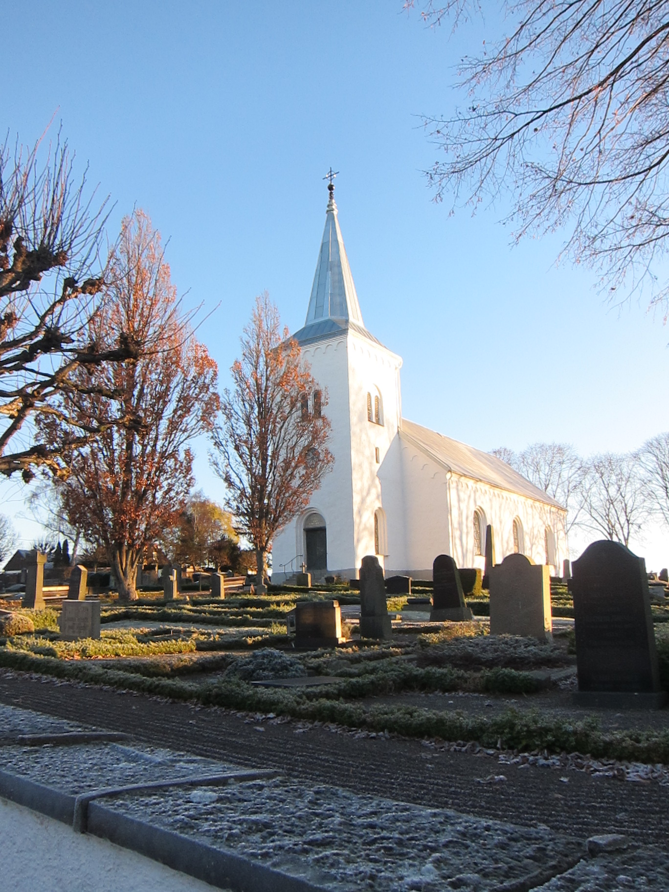 Katslösa färdig 2.JPG